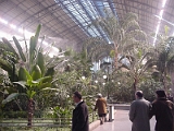 Garden In Train Station